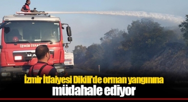 İzmir İtfaiyesi Dikili'de orman yangınına müdahale ediyor