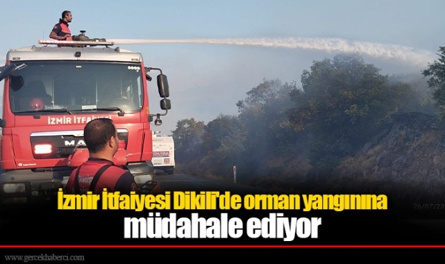 İzmir İtfaiyesi Dikili'de orman yangınına müdahale ediyor