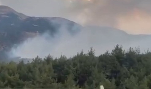 Kahramanmaraş'ta orman yangını