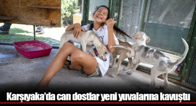 Karşıyaka’da can dostlar yeni yuvalarına kavuştu