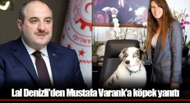 Lal Denizli'den Mustafa Varank'a köpek yanıtı