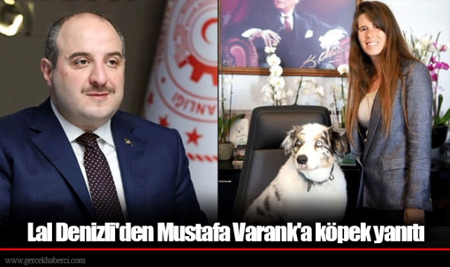 Lal Denizli'den Mustafa Varank'a köpek yanıtı