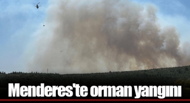 Menderes'te orman yangını