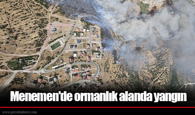 Menemen&#039;de ormanlık alanda yangın