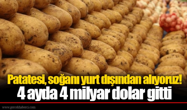 Patatesi, soğanı yurt dışından alıyoruz! 4 ayda 4 milyar dolar gitti