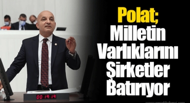 Polat; Milletin Varlıklarını Şirketler Batırıyor