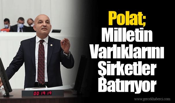 Polat; Milletin Varlıklarını Şirketler Batırıyor
