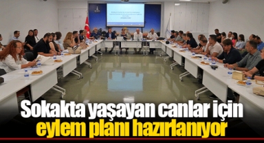 Sokakta yaşayan canlar için eylem planı hazırlanıyor