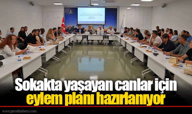 Sokakta yaşayan canlar için eylem planı hazırlanıyor