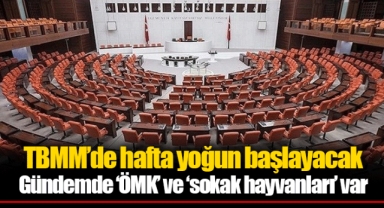 TBMM’de hafta yoğun başlayacak Gündemde ‘ÖMK’ ve ‘sokak hayvanları’ var