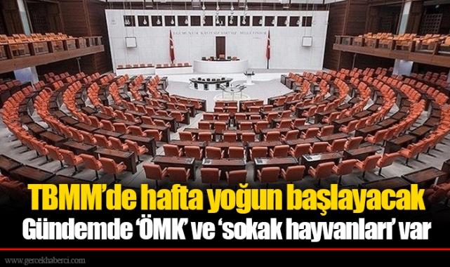 TBMM’de hafta yoğun başlayacak Gündemde ‘ÖMK’ ve ‘sokak hayvanları’ var