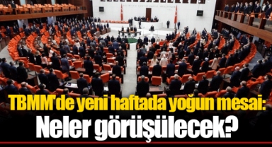 TBMM'de yeni haftada yoğun mesai: Neler görüşülecek?