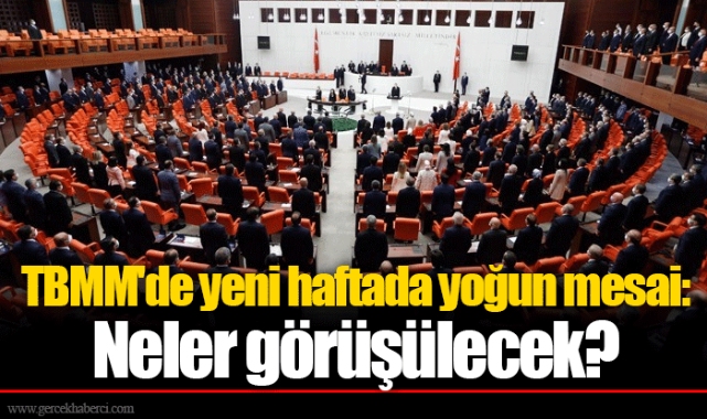 TBMM'de yeni haftada yoğun mesai: Neler görüşülecek?