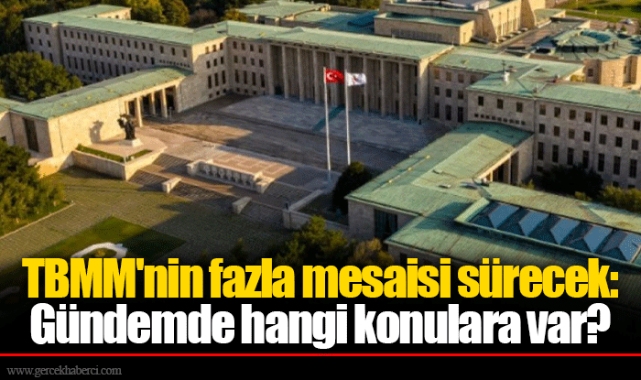 TBMM'nin fazla mesaisi sürecek: Gündemde hangi konulara var?