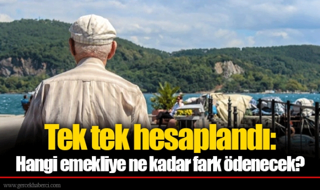 Tek tek hesaplandı: Hangi emekliye ne kadar fark ödenecek?