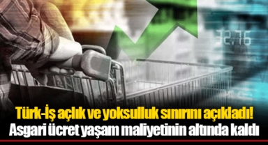 Türk-İş açlık ve yoksulluk sınırını açıkladı! Asgari ücret yaşam maliyetinin altında kaldı