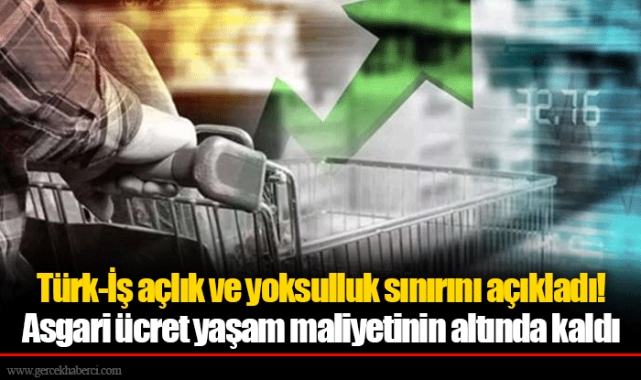 Türk-İş açlık ve yoksulluk sınırını açıkladı! Asgari ücret yaşam maliyetinin altında kaldı