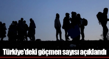 Türkiye'deki göçmen sayısı açıklandı