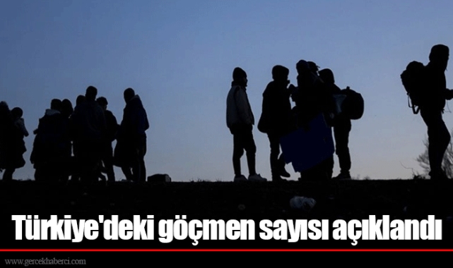 Türkiye'deki göçmen sayısı açıklandı