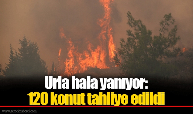Urla hala yanıyor: 120 konut tahliye edildi