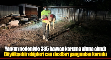 Yangın nedeniyle 335 hayvan koruma altına alındı