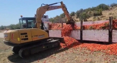 30 ton domatesi elinde kalan üretici, ürünleri kepçeyle yere döktü!
