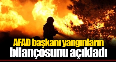 AFAD başkanı yangınların bilançosunu açıkladı