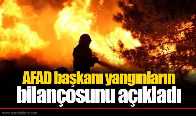 AFAD başkanı yangınların bilançosunu açıkladı