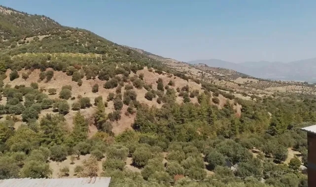 Aydın'da gizemli patlama! Ses il genelinde duyuldu