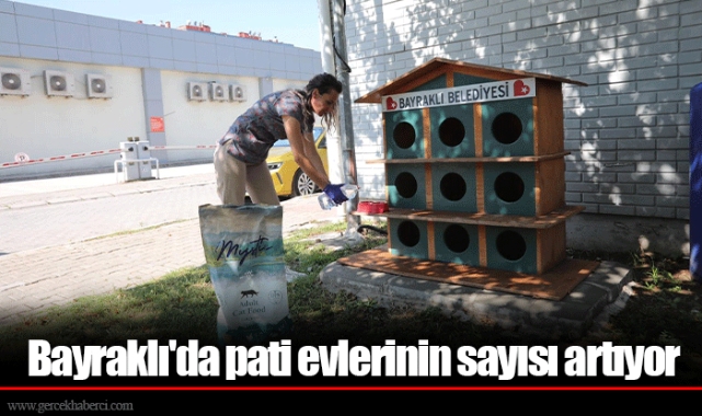 Bayraklı'da pati evlerinin sayısı artıyor