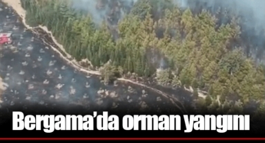 Bergama’da orman yangını