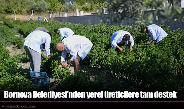 Bornova Belediyesi'nden yerel üreticilere tam destek