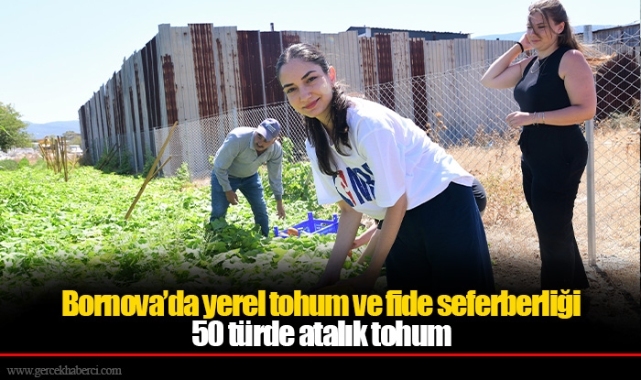 Bornova’da yerel tohum ve fide seferberliği
