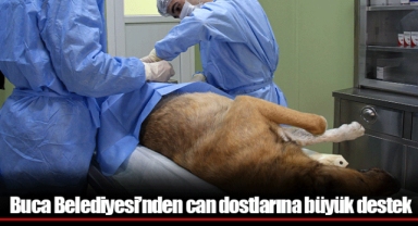 Buca Belediyesi’nden can dostlarına büyük destek