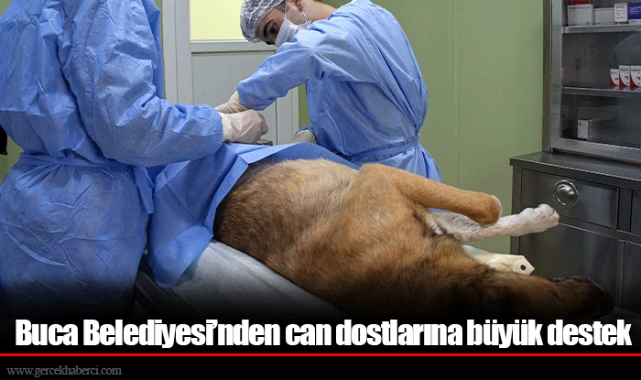 Buca Belediyesi’nden can dostlarına büyük destek
