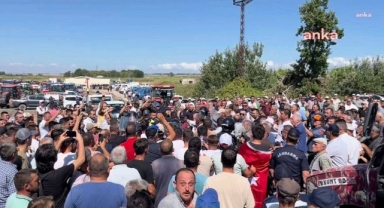 Bursa'da domates üreticileri eylem başlattı:
