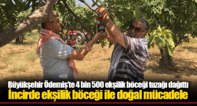 Büyükşehir Ödemiş’te 4 bin 500 ekşilik böceği tuzağı dağıttı
