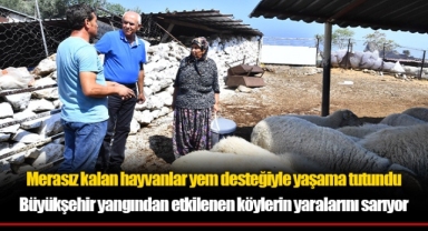 Büyükşehir yangından etkilenen köylerin yaralarını sarıyor