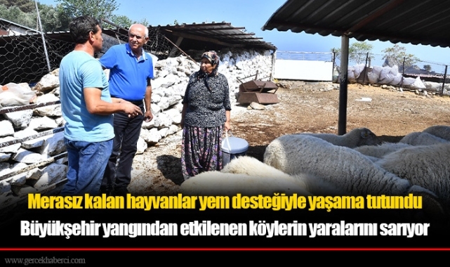 Büyükşehir yangından etkilenen köylerin yaralarını sarıyor