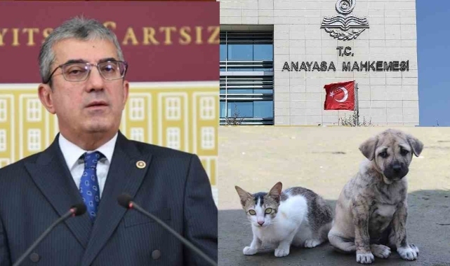 CHP&#039;den sokak hayvanları için AYM&#039;ye 182 sayfalık dilekçe