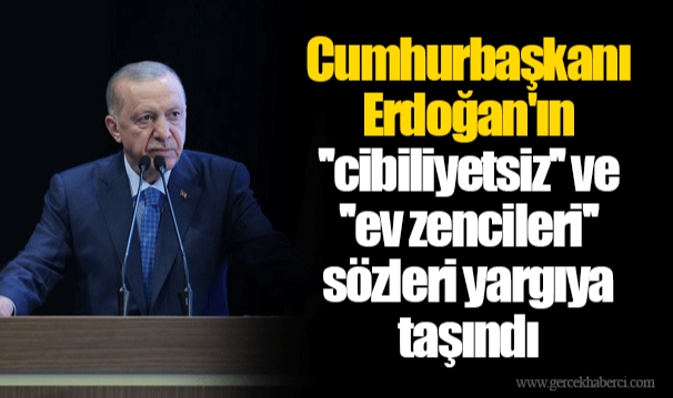 Cumhurbaşkanı Erdoğan'ın ''cibiliyetsiz'' ve ''ev zencileri'' sözleri yargıya taşındı