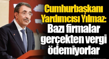 Cumhurbaşkanı Yardımcısı Yılmaz: Bazı firmalar gerçekten vergi ödemiyorlar