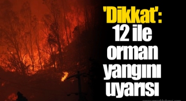 'Dikkat': 12 ile orman yangını uyarısı