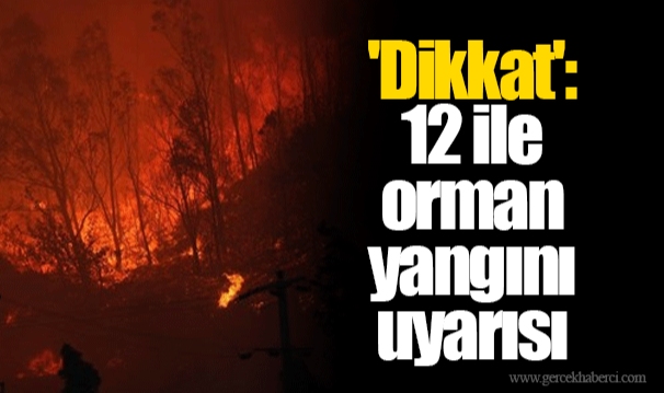 'Dikkat': 12 ile orman yangını uyarısı