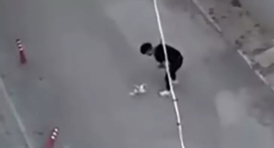 Eskişehir'de köpeğe eziyet eden kişi tekrar gözaltına alındı