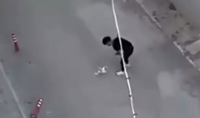 Eskişehir'de köpeğe eziyet eden kişi tekrar gözaltına alındı