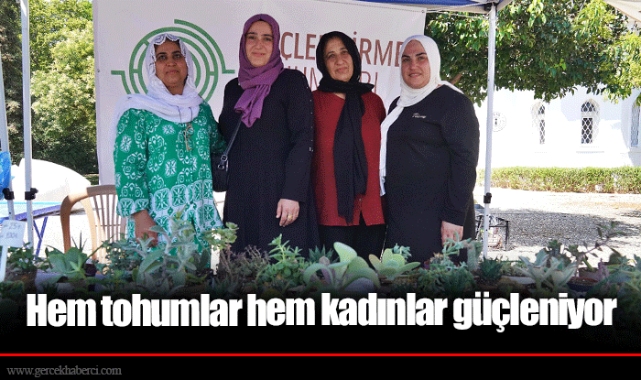 Hem tohumlar hem kadınlar güçleniyor