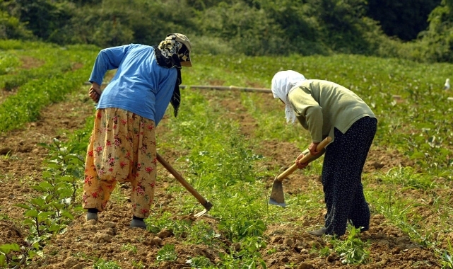 "İktidarın çiftçiye faydası kalmamıştır"