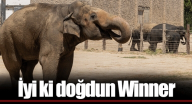 İyi ki doğdun Winner