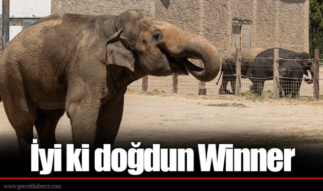 İyi ki doğdun Winner